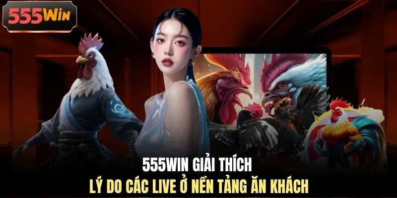 555WIN giải thích lý do các live ở nền tảng ăn khách