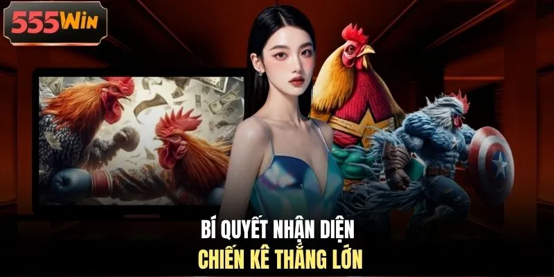 Bí quyết nhận diện chiến kê thắng lớn