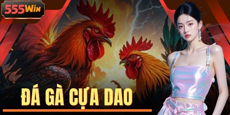 Đá Gà Cựa Dao 555WIN | Nhịp Độ Chớp Nhoáng Trong Từng Trận