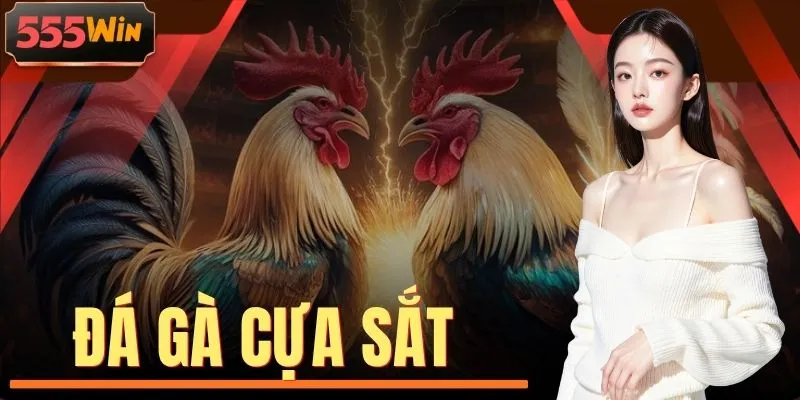 Đá Gà Cựa Sắt | Mãn Nhãn 100+ Trận Chiến Thắng Lớn 1:1