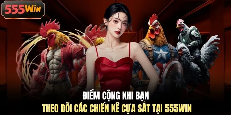 Điểm cộng khi bạn theo dõi các chiến kê cựa sắt tại 555WIN