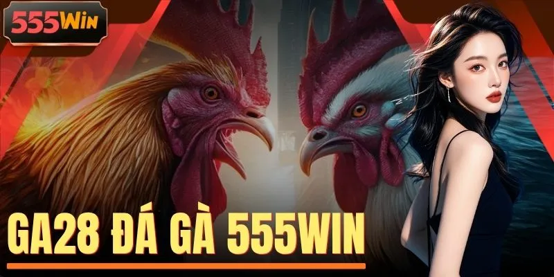 GA28 Đá Gà 555WIN - Live 50+ Trận/Ngày, Thi Đấu Cực Nảy Lửa