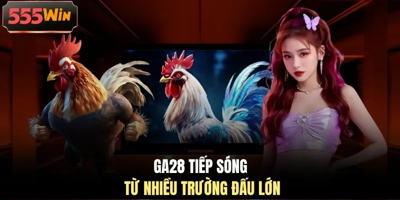 GA28 tiếp sóng từ nhiều trường đấu lớn