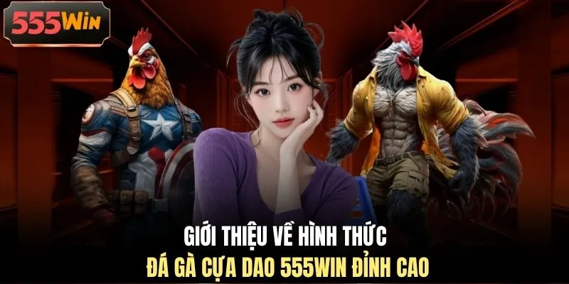 Giới thiệu về hình thức đá gà cựa dao 555WIN đỉnh cao