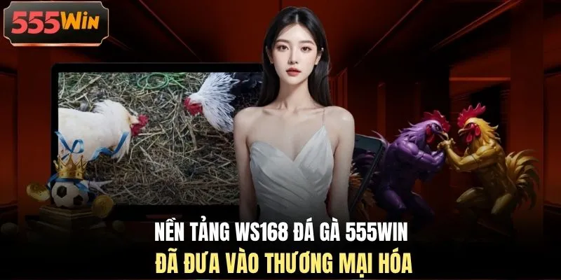 Nền tảng WS168 đá gà 555WIN đã đưa vào thương mại hóa