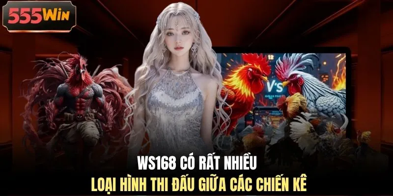 WS168 có rất nhiều loại hình thi đấu giữa các chiến kê
